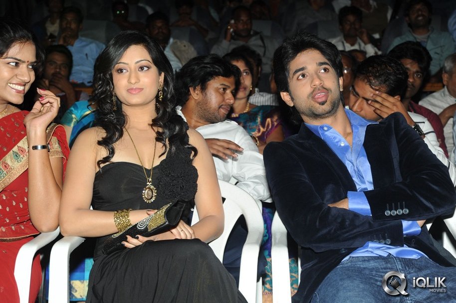 Cut-Chesthe-Movie-Audio-Launch